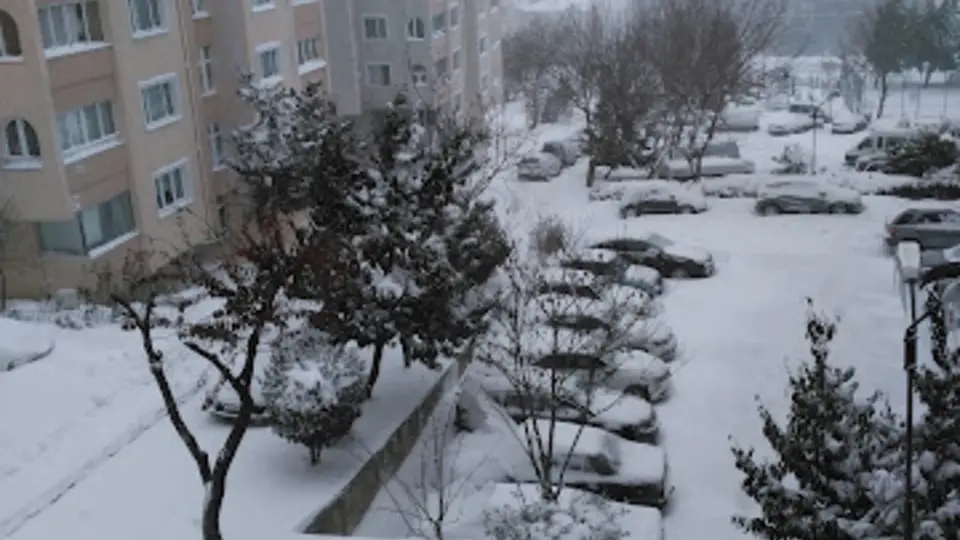 Veteriner Sitesi
